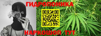 гидра Моздок