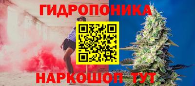 гидра Моздок
