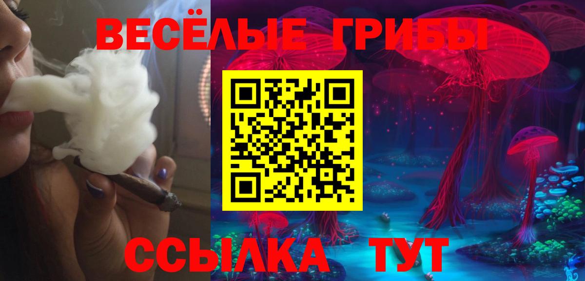 Псилоцибиновые грибы мицелий Уссурийск